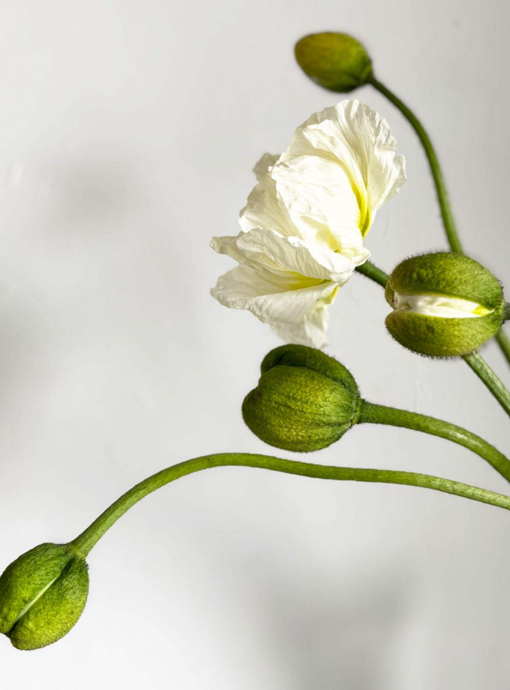 banner7.jpg